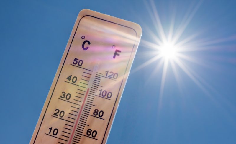 médicaments et canicule