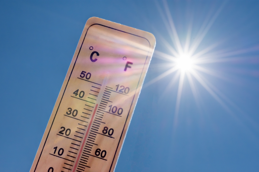 médicaments et canicule