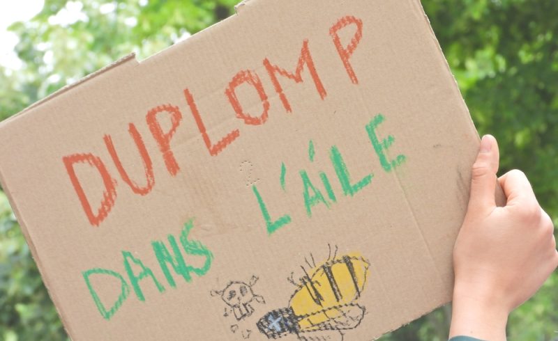 Loi Duplomb
