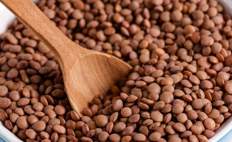 lentilles canadiennes pesticides